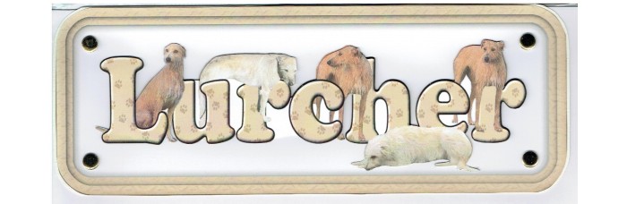 Lurcher - long hair Lurcher - long hair